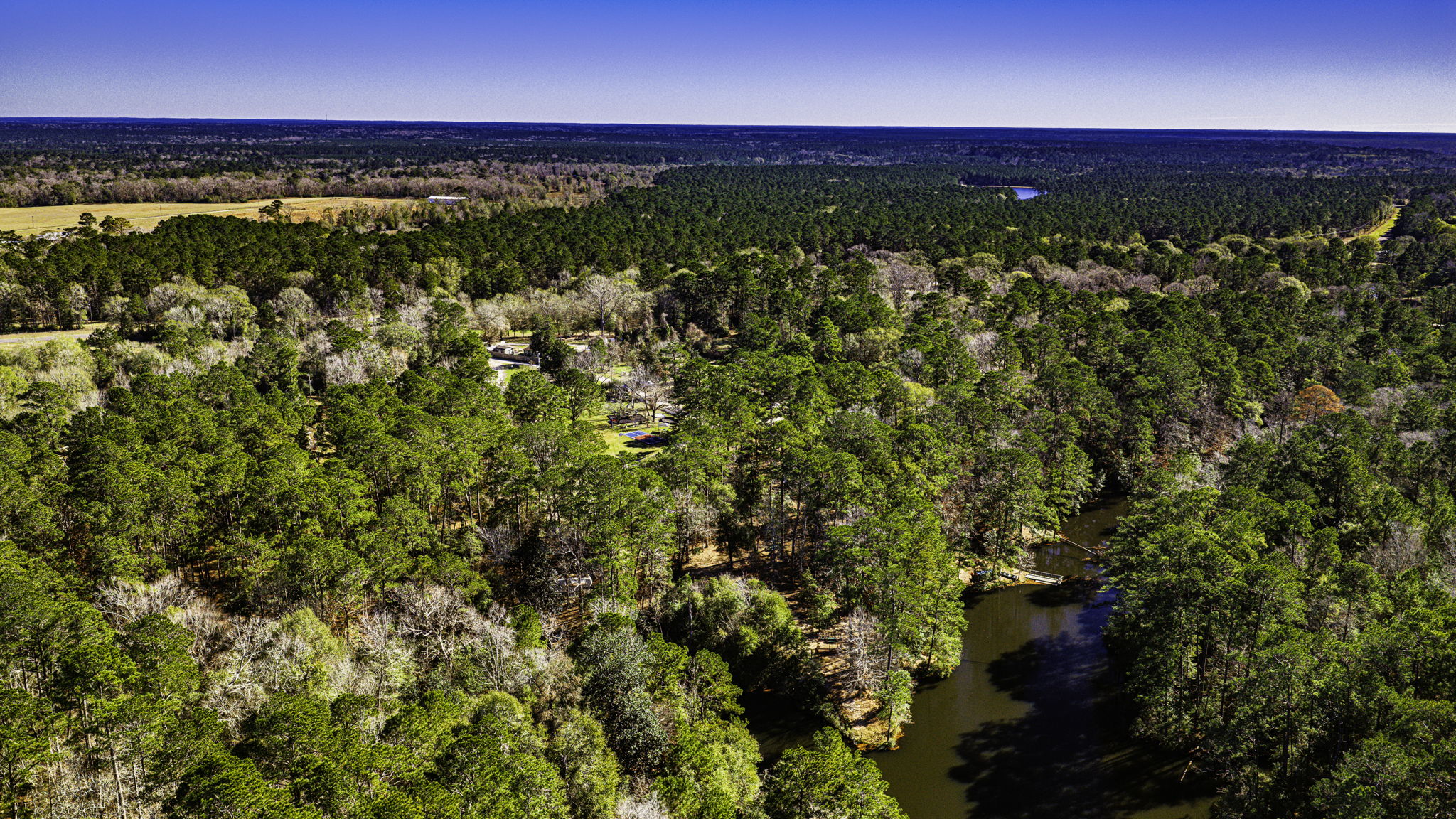 Second aerial drone photo of the PawHaus property showing the woodsy hollow